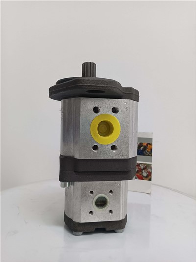 Rexroth 0510765065 AZPNF-11-032011RDC0720KB-S0081, zobratu sūknis noliktavā